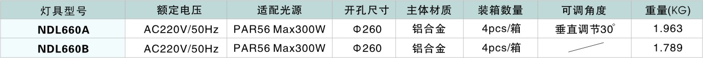 室内高空筒射灯NDL660系列